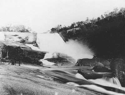 FL1072651 copy